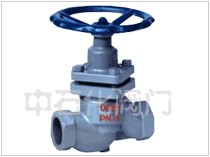 U內(nèi)螺紋直通柱塞閥 upimg/2016070617422169.gif