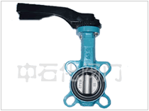 D對(duì)夾蝶閥 upimg/2016070617491112.gif